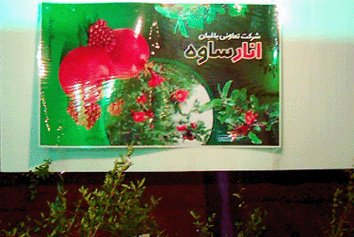 جشنواره ملي انار در شهرستان ساوه