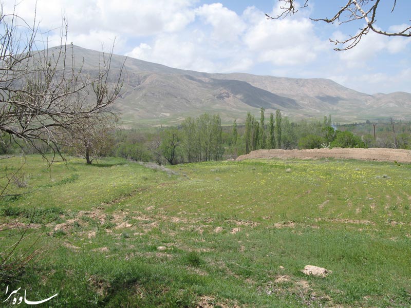 روستای مسلم آباد ساوه (از توابع نوبران)